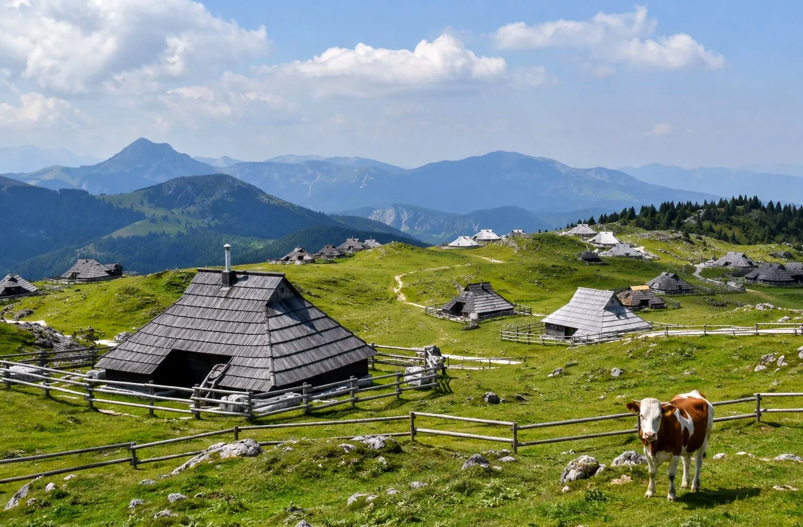 Velika Planina