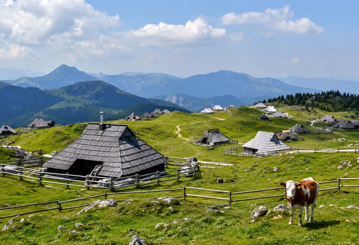 Velika Planina