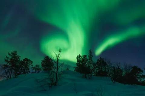 Aurora bands swirling over snowbanks and bare birch.