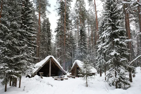 Turf-roofed log cabins deep in snowy pine forest.