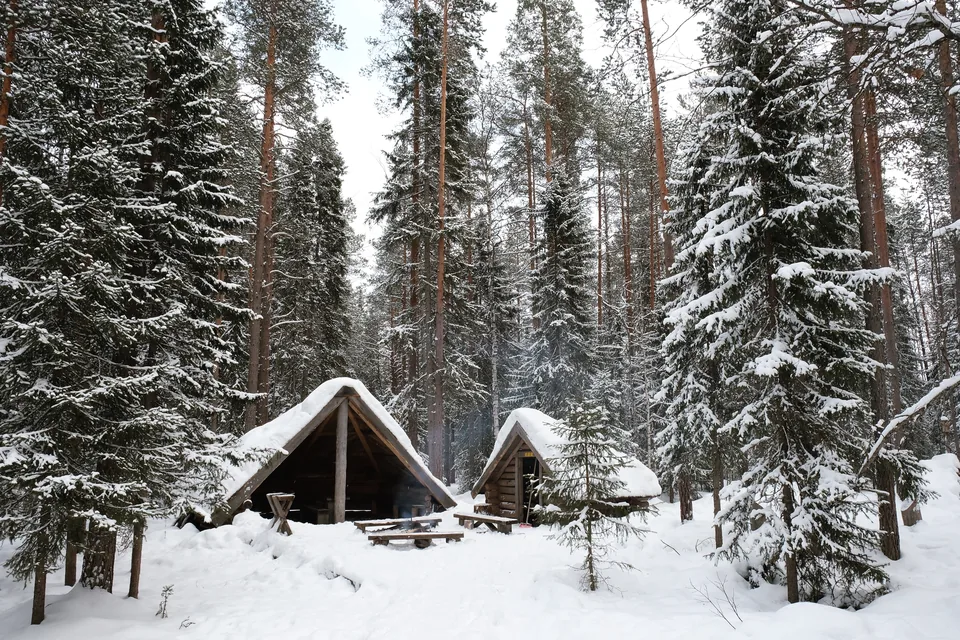 Two snow-roofed log shelters and a fire pit in a deep-snow pine forest.