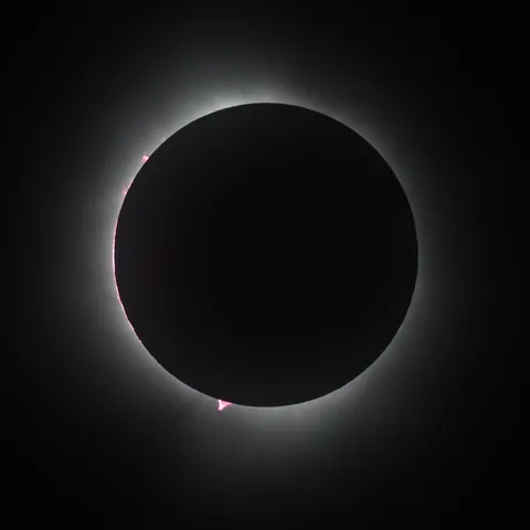 The white corona around a black sun at totality