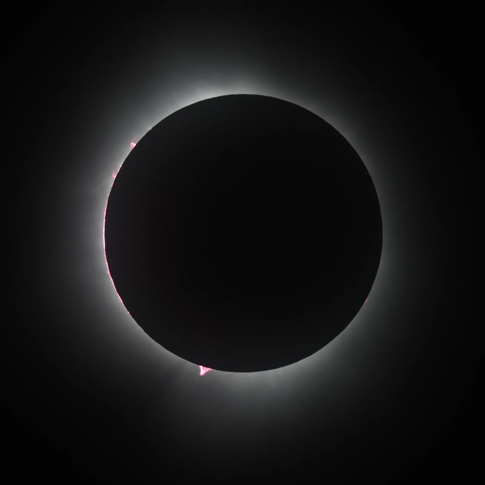 The white corona around a black solar disc at totality