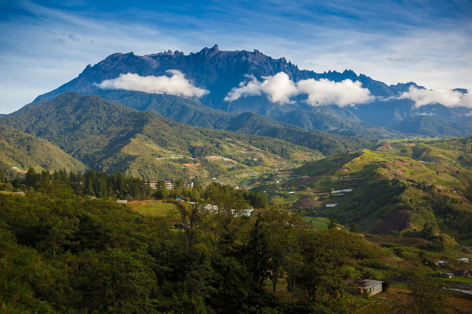 Mount Kinabalu in the morning above green Sabah hill country